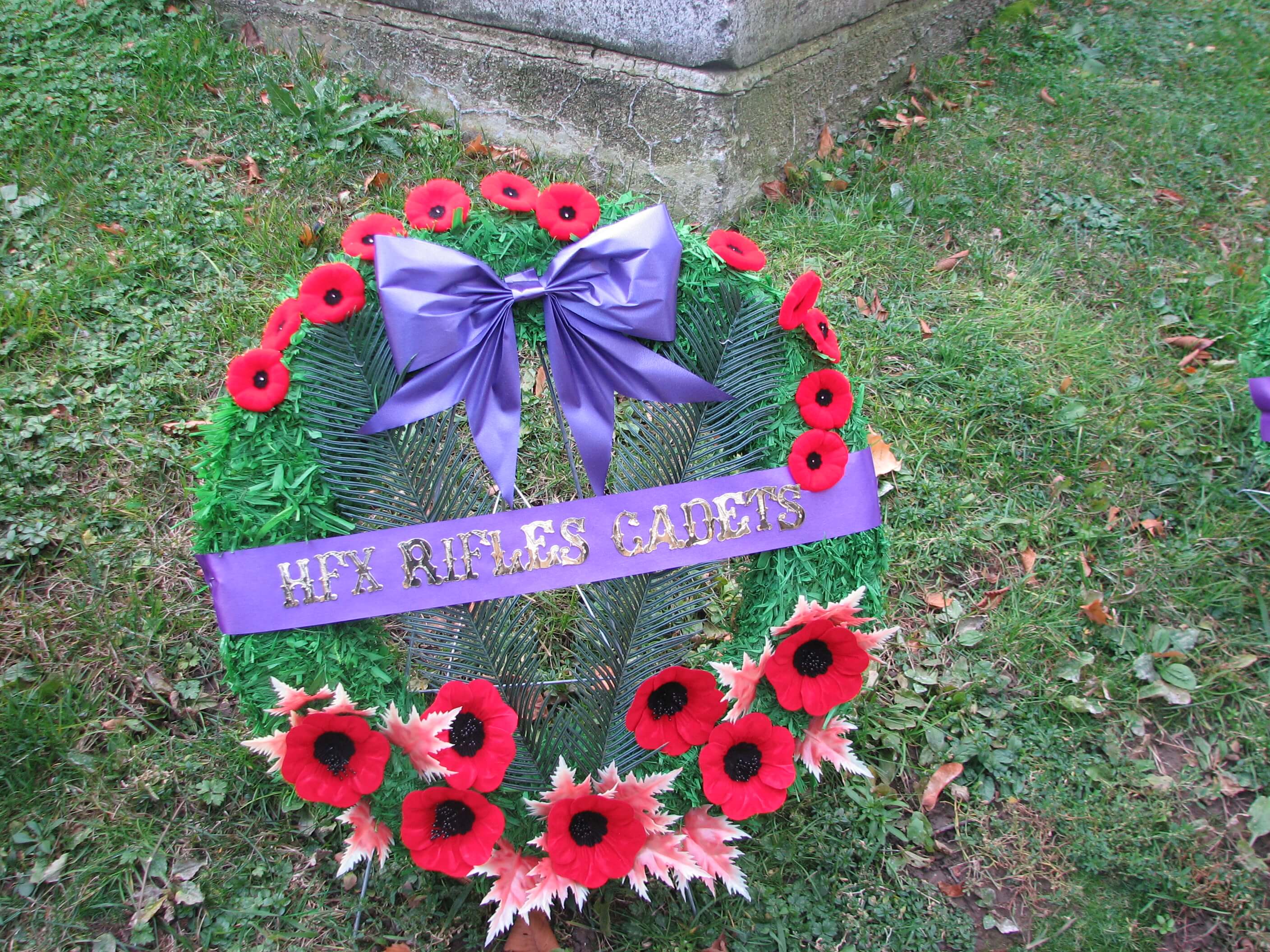 2009 Remembrance Day Album